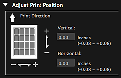 figure: Print settings dialog